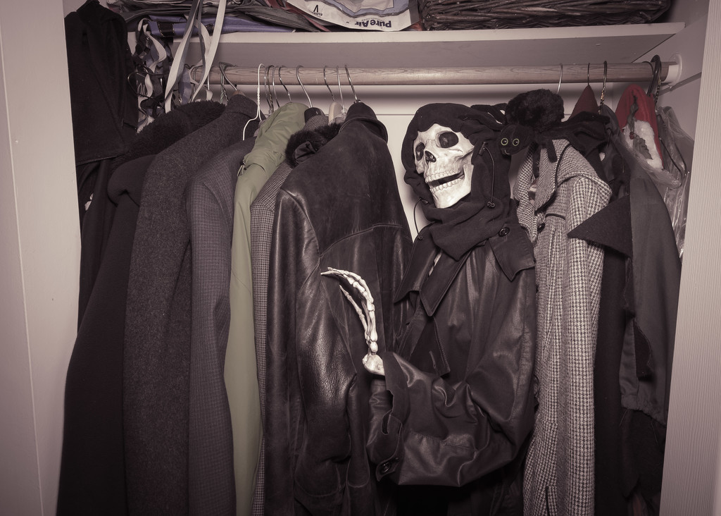 Everyone Has Skeletons In The Closet by lesip