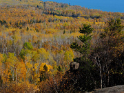 11th Oct 2014 - View from Pincushion Mt.