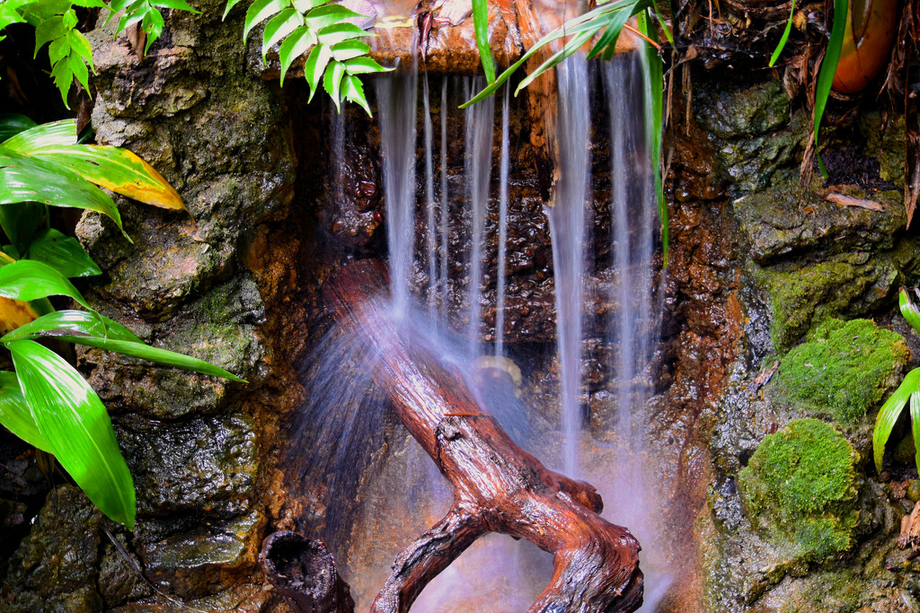 Water & Wood by joysfocus