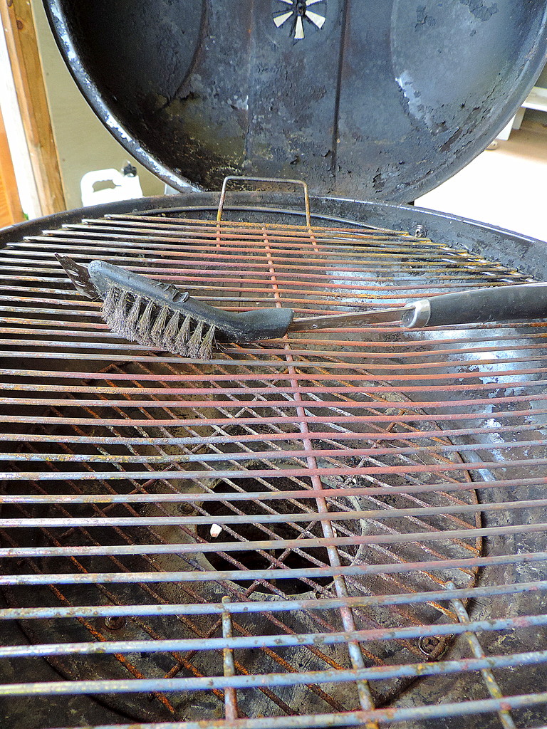 Not so gloriously rusty grill by homeschoolmom