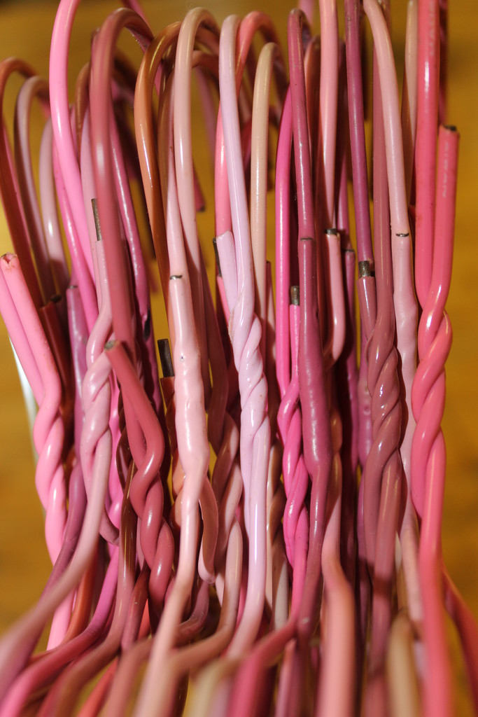 Mundane Hanger and Pink October by genealogygenie