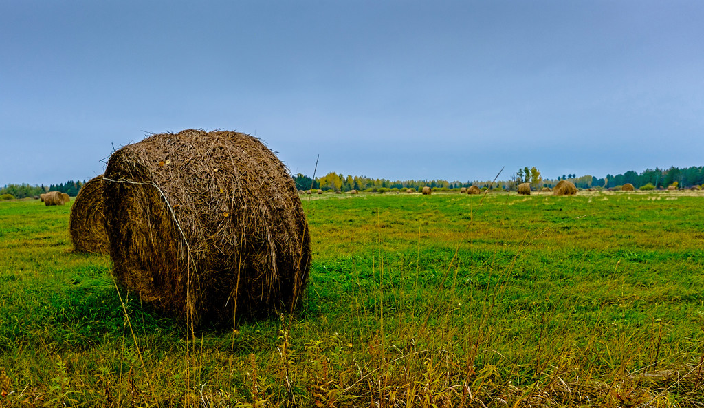 Hay Bale by tosee