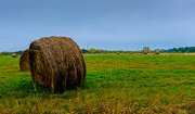 13th Oct 2014 - Hay Bale