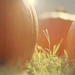 In the pumpkin patch by orangecrush