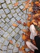 14th Oct 2014 - autumnal shoefie