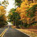 Autumn Drive by yogiw