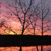 Day 106 - Early Morning Sunrise by ravenshoe