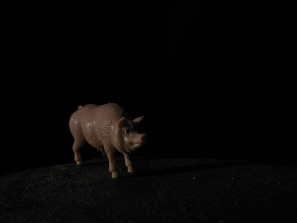 Portrait of a Pig 2 by francoise