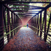 Raymore Bridge Walker by pdulis