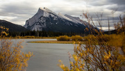 13th Oct 2014 - Mt Rundle in Fall