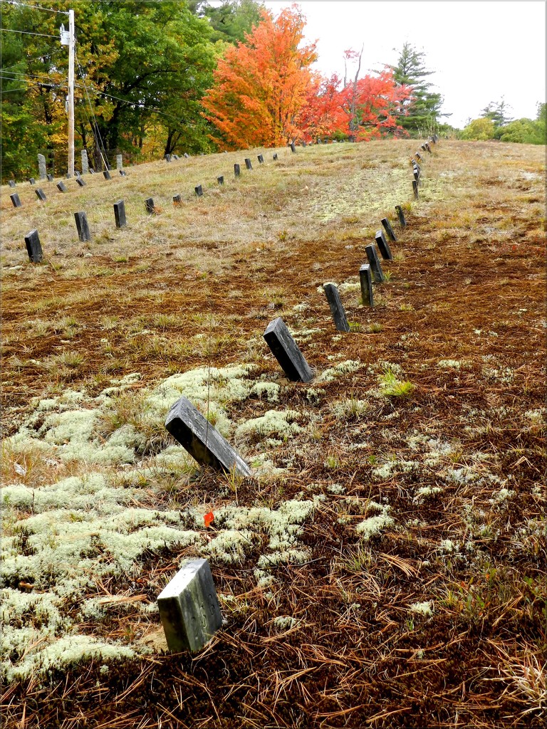 Paupers' Graveyard In Ossipee NH by paintdipper