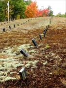 14th Oct 2014 - Paupers' Graveyard In Ossipee NH