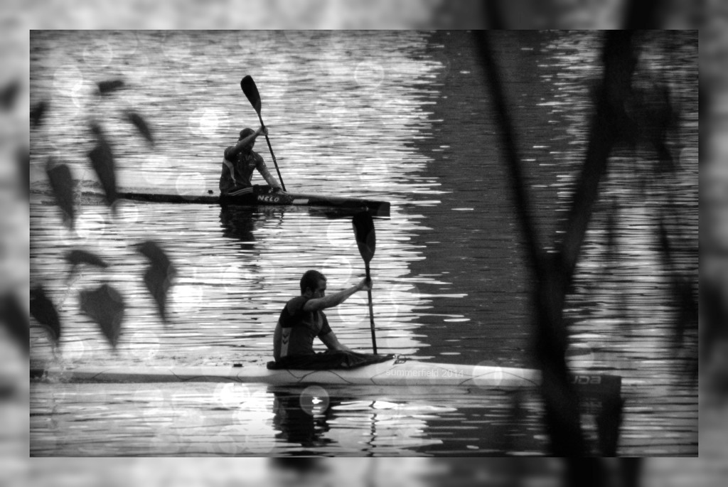 oars  by summerfield