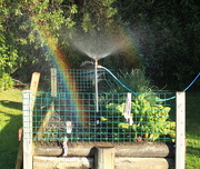 10th Oct 2014 - At last - the pot of gold!
