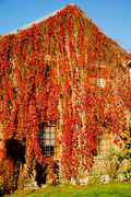15th Oct 2014 - An autumn house