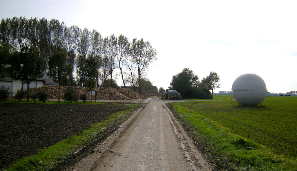 On a small country road by pyrrhula