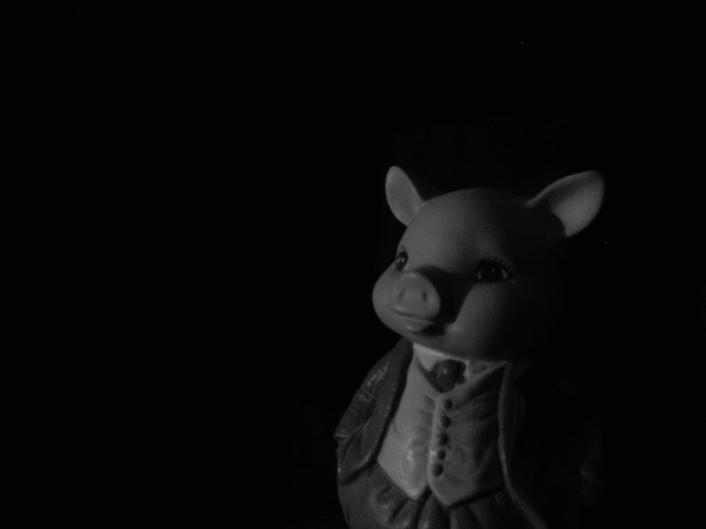 Portrait of a Pig 3 by francoise