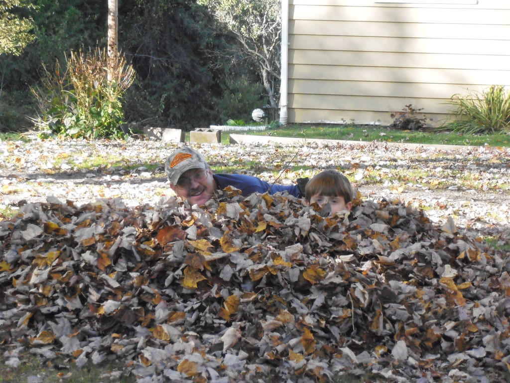 Playing in the Leaves by julie