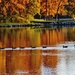 Autumn Alignment by lynnz
