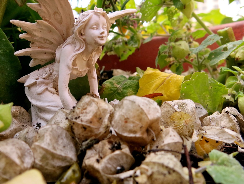Garden Fairy by corktownmum