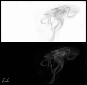 21st Oct 2010 - Smokin'