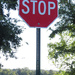 Scavenger-Hunt Stop Sign - Whoa! by milaniet