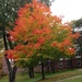 Gorgeous seasonal colors of New England by mvogel