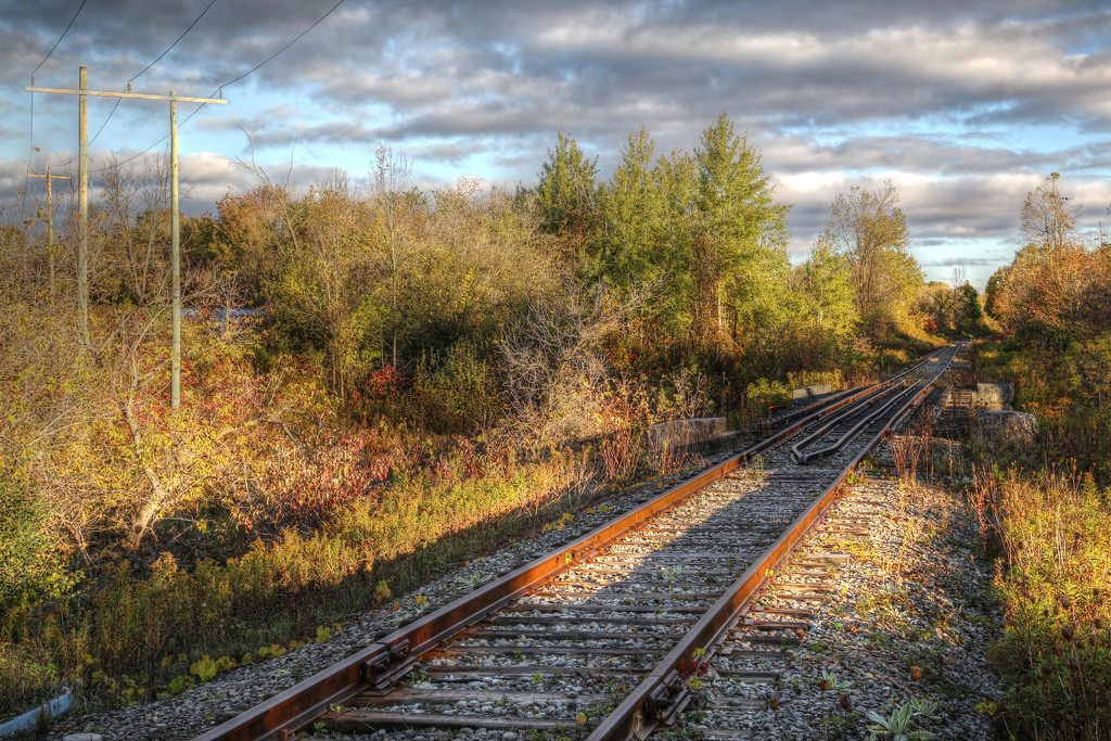 The Train Tracks by pdulis