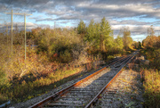 16th Oct 2014 - The Train Tracks