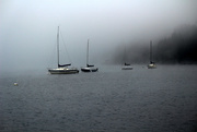 15th Oct 2014 - fogged in