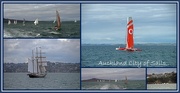 17th Oct 2014 - Auckland City of Sails.. 