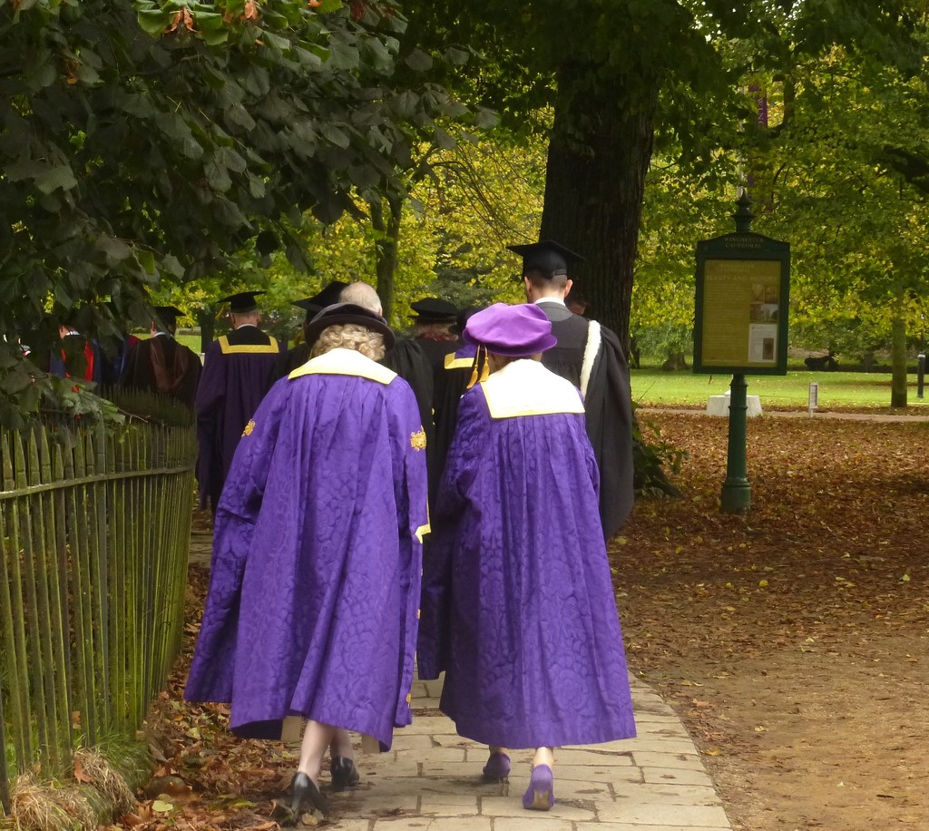 graduation in purple by quietpurplehaze