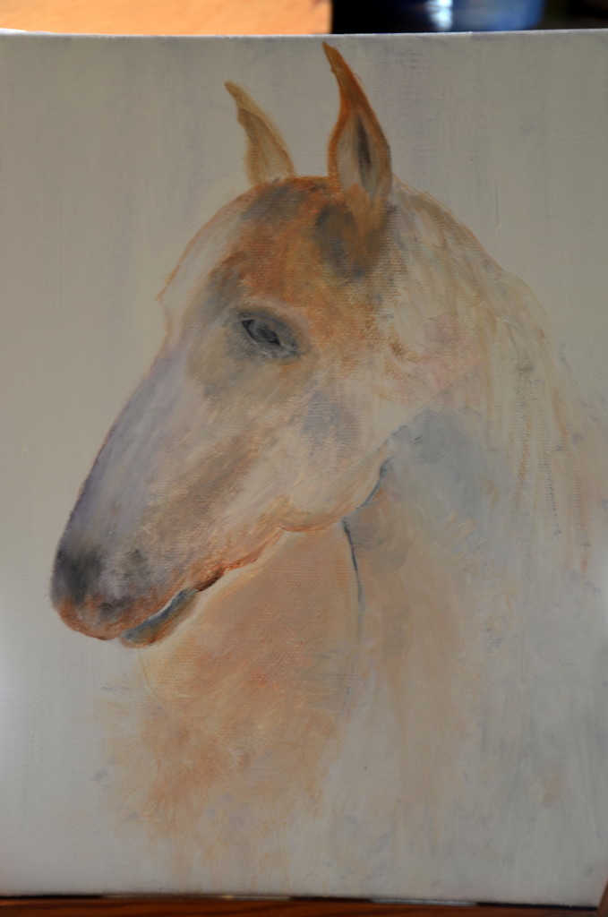A Horse by salza