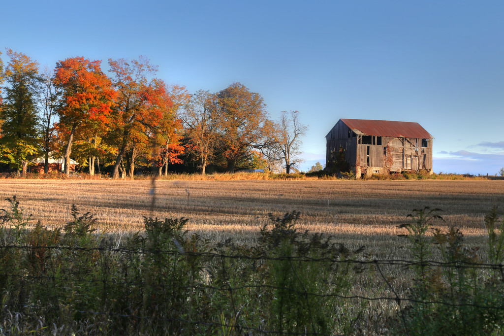 Ontario Farmlands by pdulis