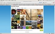 22nd Oct 2010 - Popular page