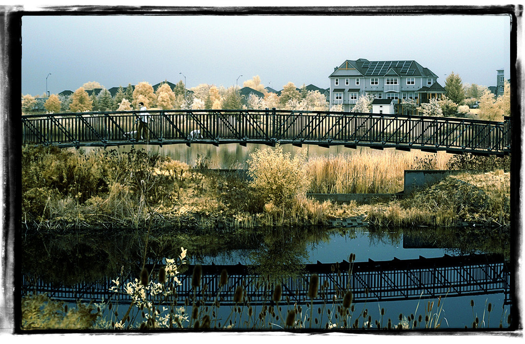 The Bridge by gardencat