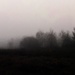 Morning Fog by digitalrn