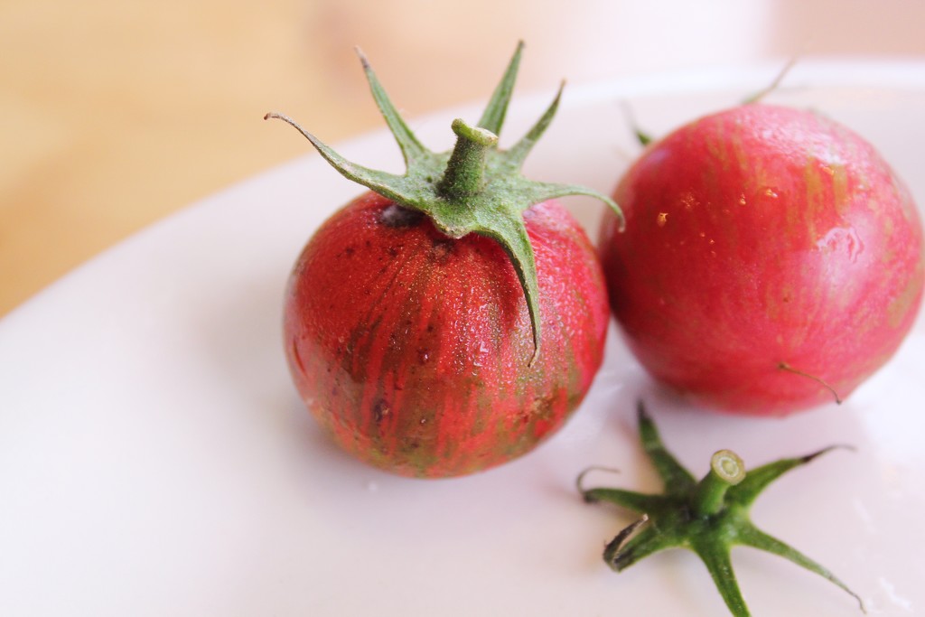 Three heirlooms by edorreandresen