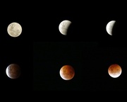 8th Oct 2014 - Lunar eclipse 8th October