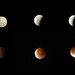 Lunar eclipse 8th October