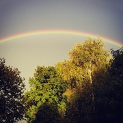 4th Oct 2014 - Rainbow