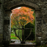 18th Oct 2014 - Colour through the small arch - 18-10