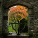 Colour through the small arch - 18-10 by barrowlane