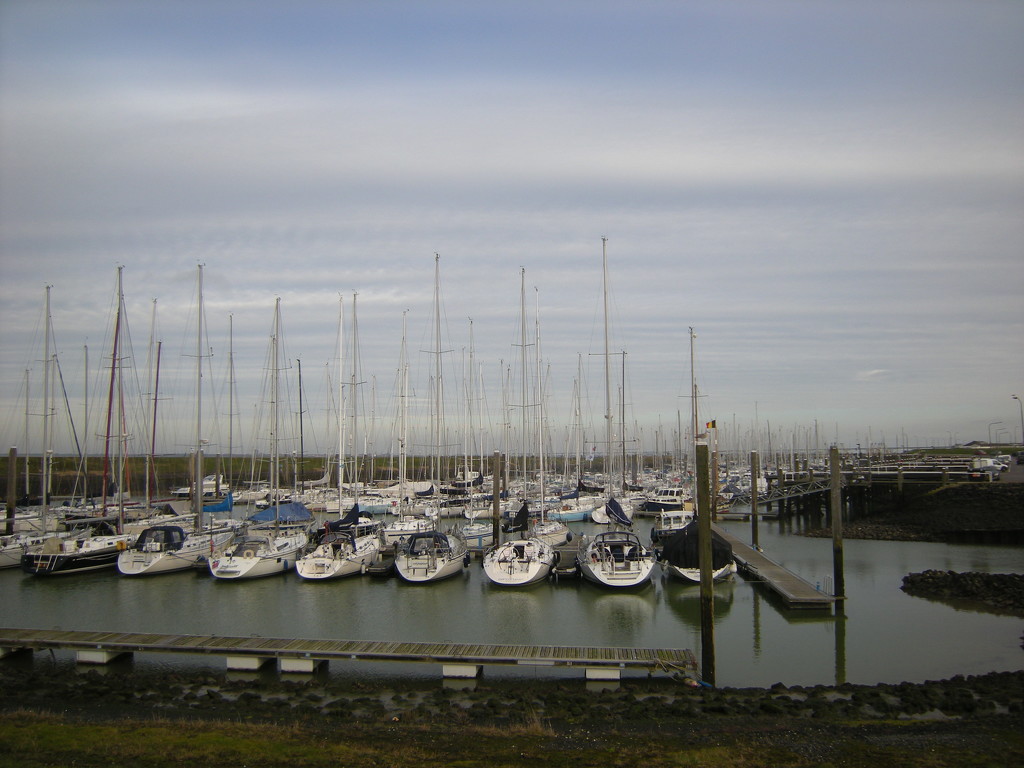 The boats and harbour by pyrrhula