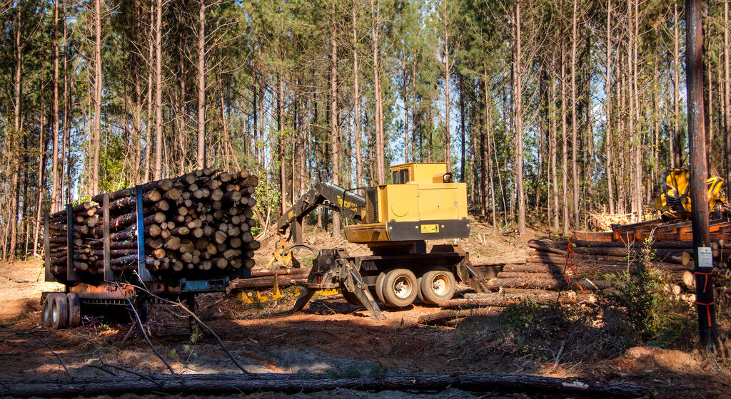 Logging operation by randystreat