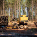Logging operation by randystreat
