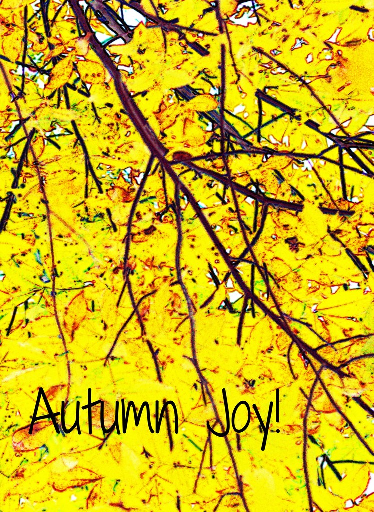 ETSOOI Autumn by mzzhope