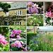 Think Pink.  In a Cottage Garden by wendyfrost