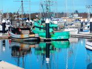 17th Oct 2014 - Rusty boats new harbor