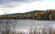 18th Oct 2014 - Out By The Lake